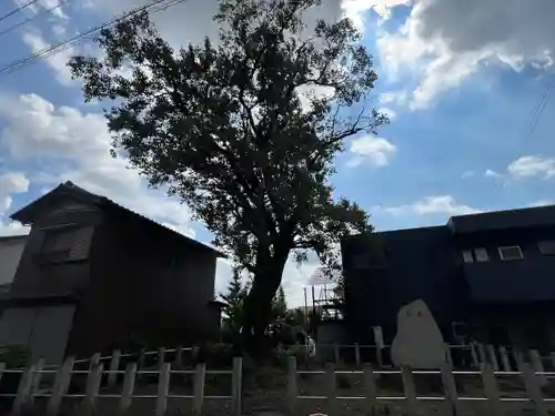 手力雄神社(岐阜県)