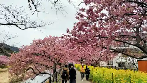 川津来宮神社(静岡県)