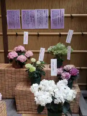 十番稲荷神社(東京都)