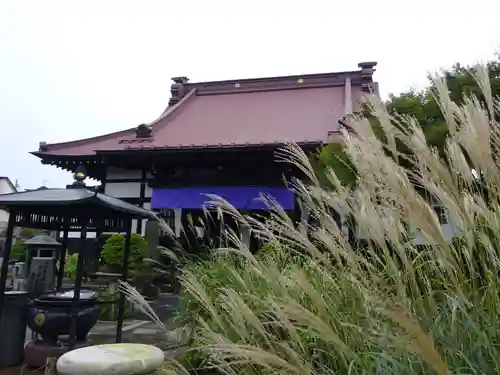 常泉寺の本殿・本堂