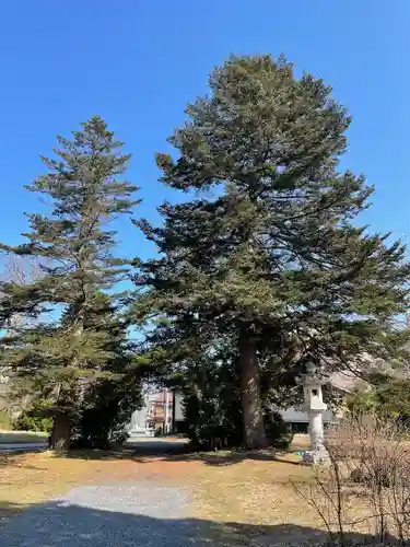三八城神社(青森県)