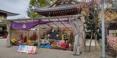 亀戸天神社(東京都)