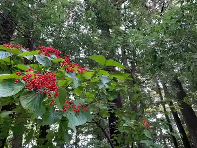 雄山神社前立社壇(富山県)