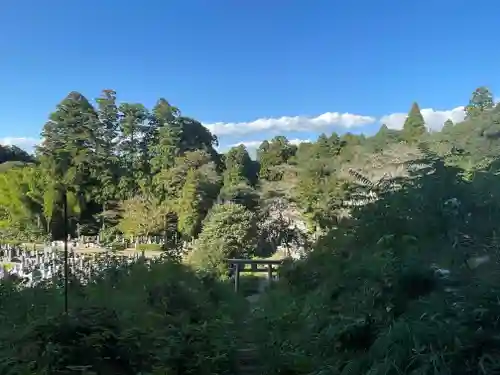 高天神社(千葉県)