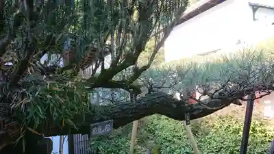 東林院(京都府)