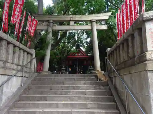 笠䅣稲荷神社の鳥居