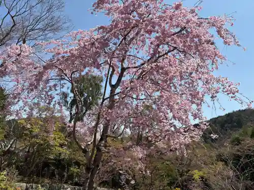勝尾寺(大阪府)