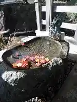 鹿島大神宮の手水舎