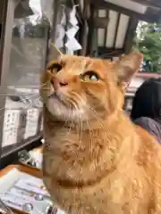 今市報徳二宮神社(栃木県)