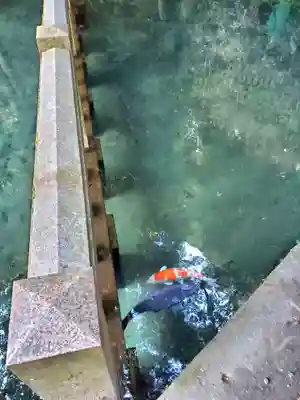 鹿島神宮(茨城県)