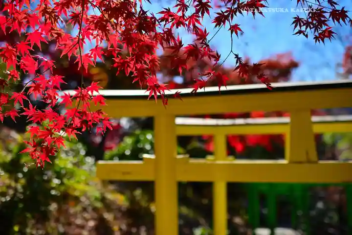 足利織姫神社(栃木県)