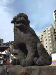 浅草神社の狛犬