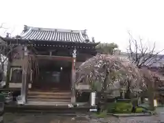 清林寺(東京都)