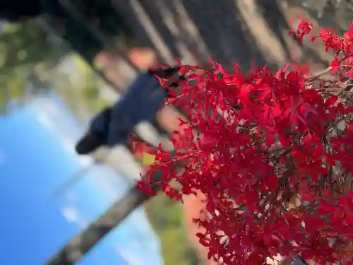 常樂寺(滋賀県)