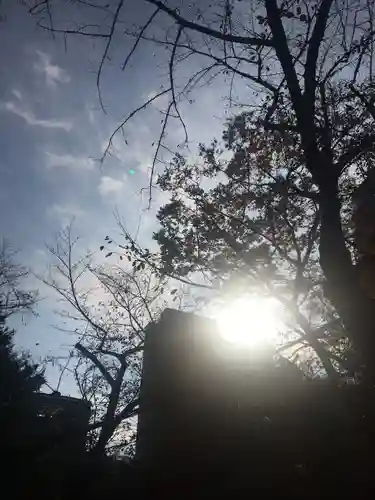 愛宕神社の自然