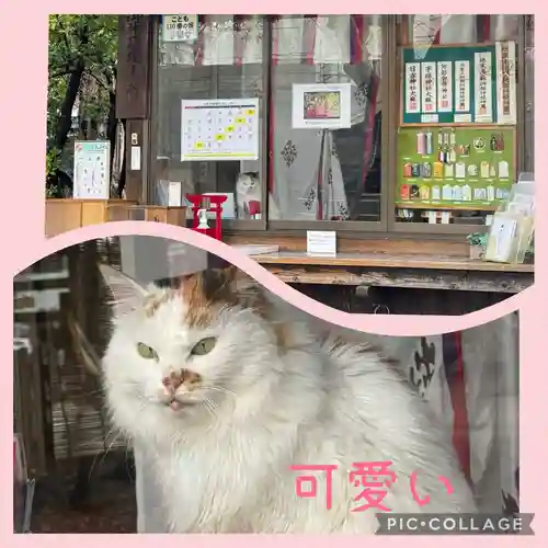 阿邪訶根神社(福島県)