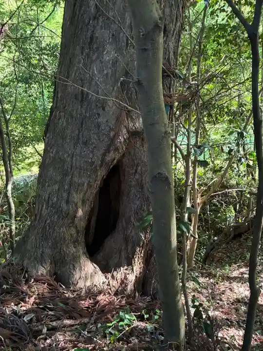 鹿嶋神社(茨城県)