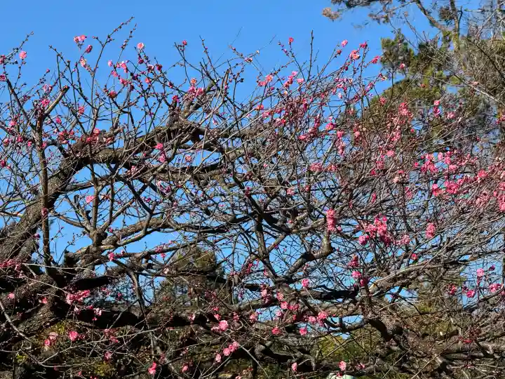 上野東照宮(東京都)