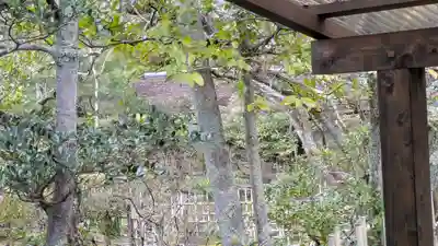 仁和寺(京都府)