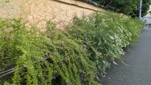 迎稱寺（迎称寺）(京都府)