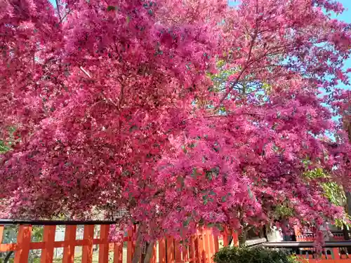 玉津島神社の自然