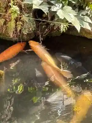 今泉八坂神社(栃木県)