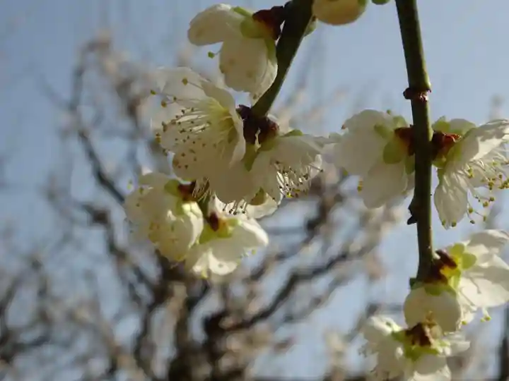 宝城坊(神奈川県)