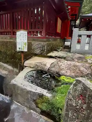 九頭龍神社本宮の{uncategorized: "未分類", other: "その他", undefined: "問題あり", building: "その他建物", grave: "お墓", sacred_gate: "鳥居", guardian: "狛犬", statue: "像", buddha: "仏像", history: "歴史", nature: "自然", garden: "庭園", animal: "動物", pagoda: "塔", temizu: "手水舎", mountain_gate: "山門・神門", sanctuary: "本殿・本堂", subordinate: "末社・摂社", art: "芸術", scenery: "景色", jizo: "地蔵", ema: "絵馬", goshuin: "御朱印", omikuji: "おみくじ", items: "授与品その他", amulet: "お守り", goshuincho: "御朱印帳", eats: "食事", festival: "お祭り", votive_dance: "神楽", shichigosan: "七五三参", wedding: "結婚式", experience: "体験その他", initially: "初詣", around: "周辺", anti_infection: "感染症対策"}