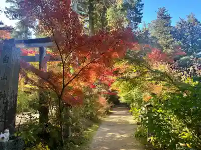 国宝 長寿寺(滋賀県)