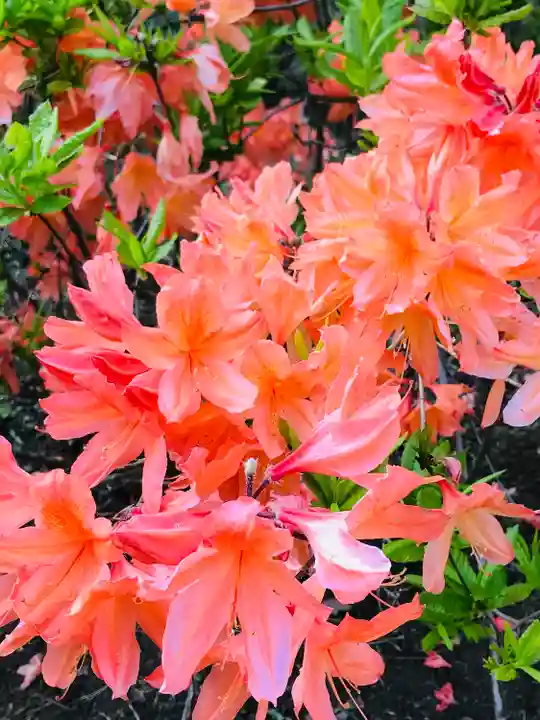 密蔵院米山寺(新潟県)