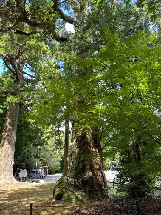雷神社(福岡県)