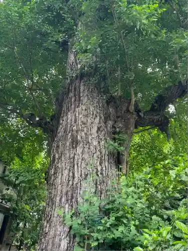 幸國寺(東京都)