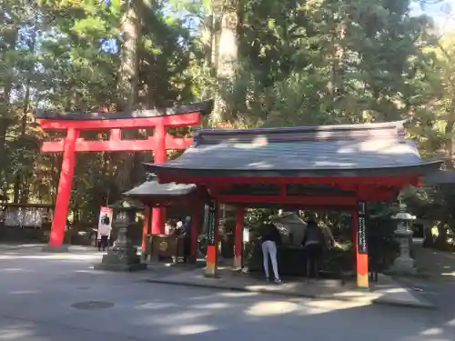 箱根神社の手水舎