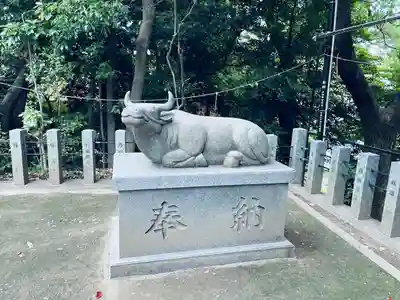 白山神社(二子町)の狛犬