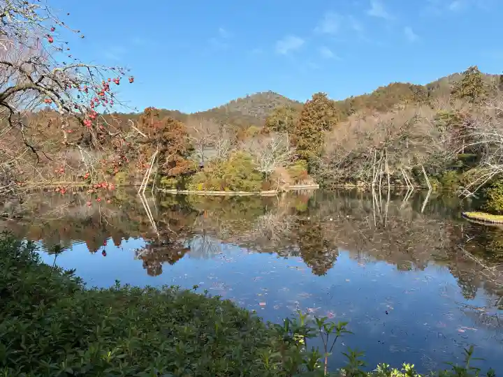 龍安寺の{uncategorized: "未分類", other: "その他", undefined: "問題あり", building: "その他建物", grave: "お墓", sacred_gate: "鳥居", guardian: "狛犬", statue: "像", buddha: "仏像", history: "歴史", nature: "自然", garden: "庭園", animal: "動物", pagoda: "塔", temizu: "手水舎", mountain_gate: "山門・神門", sanctuary: "本殿・本堂", subordinate: "末社・摂社", art: "芸術", scenery: "景色", jizo: "地蔵", ema: "絵馬", goshuin: "御朱印", omikuji: "おみくじ", items: "授与品その他", amulet: "お守り", goshuincho: "御朱印帳", eats: "食事", festival: "お祭り", votive_dance: "神楽", shichigosan: "七五三参", wedding: "結婚式", experience: "体験その他", initially: "初詣", around: "周辺", anti_infection: "感染症対策"}
