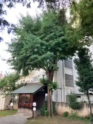 牛込柳町天祖神社(東京都)