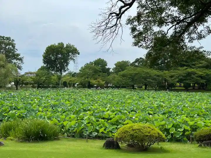 岩井八坂神社(茨城県)