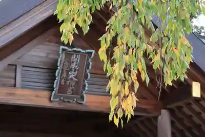 開成山大神宮の本殿・本堂