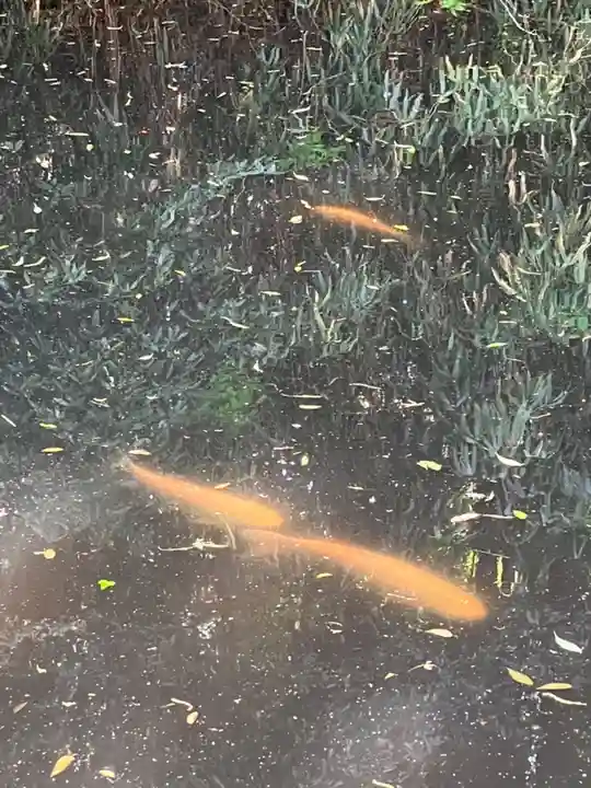 體見神社(茨城県)