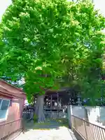 天宮神社(東野町)の自然