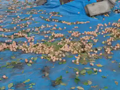 極楽寺(埼玉県)