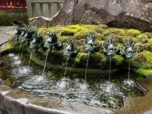 九頭龍神社新宮(神奈川県)