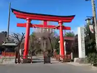 鷲宮神社(埼玉県)