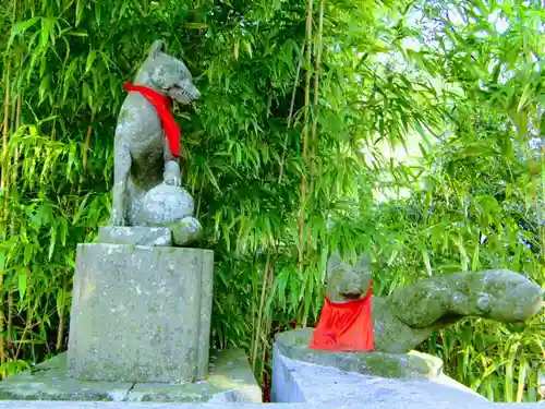 白笹稲荷神社の狛犬