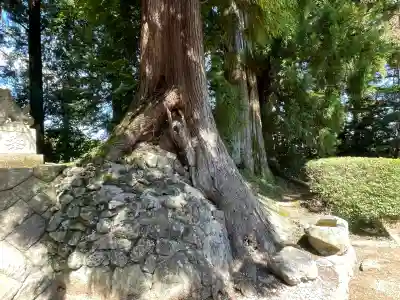 湯立神社(奈良県)