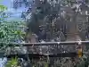 柏諏訪神社の{uncategorized: "未分類", other: "その他", undefined: "問題あり", building: "その他建物", grave: "お墓", sacred_gate: "鳥居", guardian: "狛犬", statue: "像", buddha: "仏像", history: "歴史", nature: "自然", garden: "庭園", animal: "動物", pagoda: "塔", temizu: "手水舎", mountain_gate: "山門・神門", sanctuary: "本殿・本堂", subordinate: "末社・摂社", art: "芸術", scenery: "景色", jizo: "地蔵", ema: "絵馬", goshuin: "御朱印", omikuji: "おみくじ", items: "授与品その他", amulet: "お守り", goshuincho: "御朱印帳", eats: "食事", festival: "お祭り", votive_dance: "神楽", shichigosan: "七五三参", wedding: "結婚式", experience: "体験その他", initially: "初詣", around: "周辺", anti_infection: "感染症対策"}