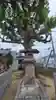 荒神社(愛媛県)
