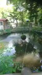 酒見神社の庭園