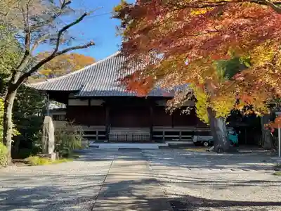 妙光院の本殿・本堂