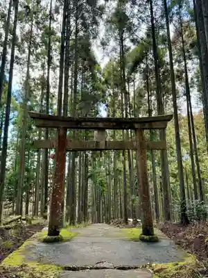 賀茂神社(京都府)